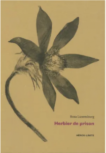 Capture d’écran 2026-02-27 à 16.41.28