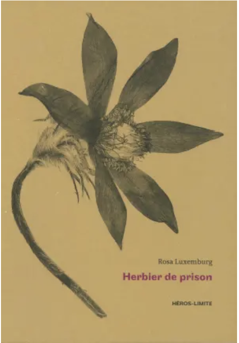 Capture d’écran 2026-02-27 à 16.41.28