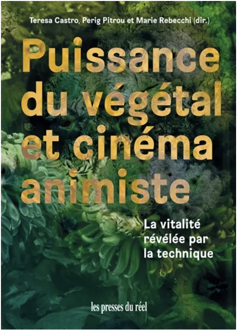 Capture d’écran 2026-03-02 à 15.24.34