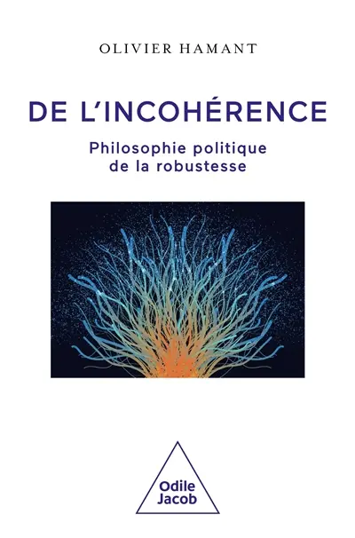de l'incohérence